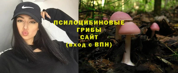 сатива Балабаново