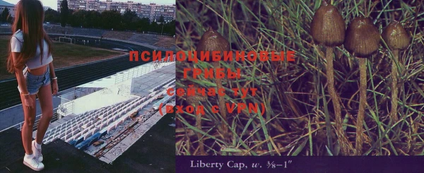 Альфа ПВП Балахна