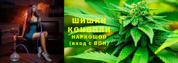 сатива Балабаново