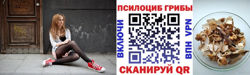 Галлюциногенные грибы мицелий  Верхняя Пышма 